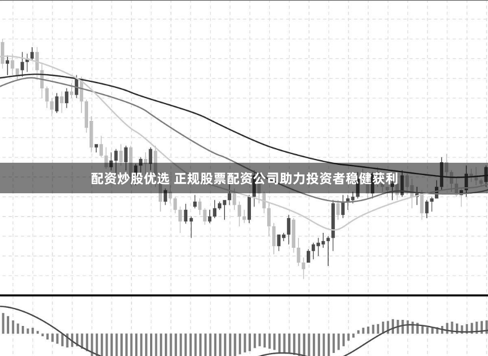 配资炒股优选 正规股票配资公司助力投资者稳健获利