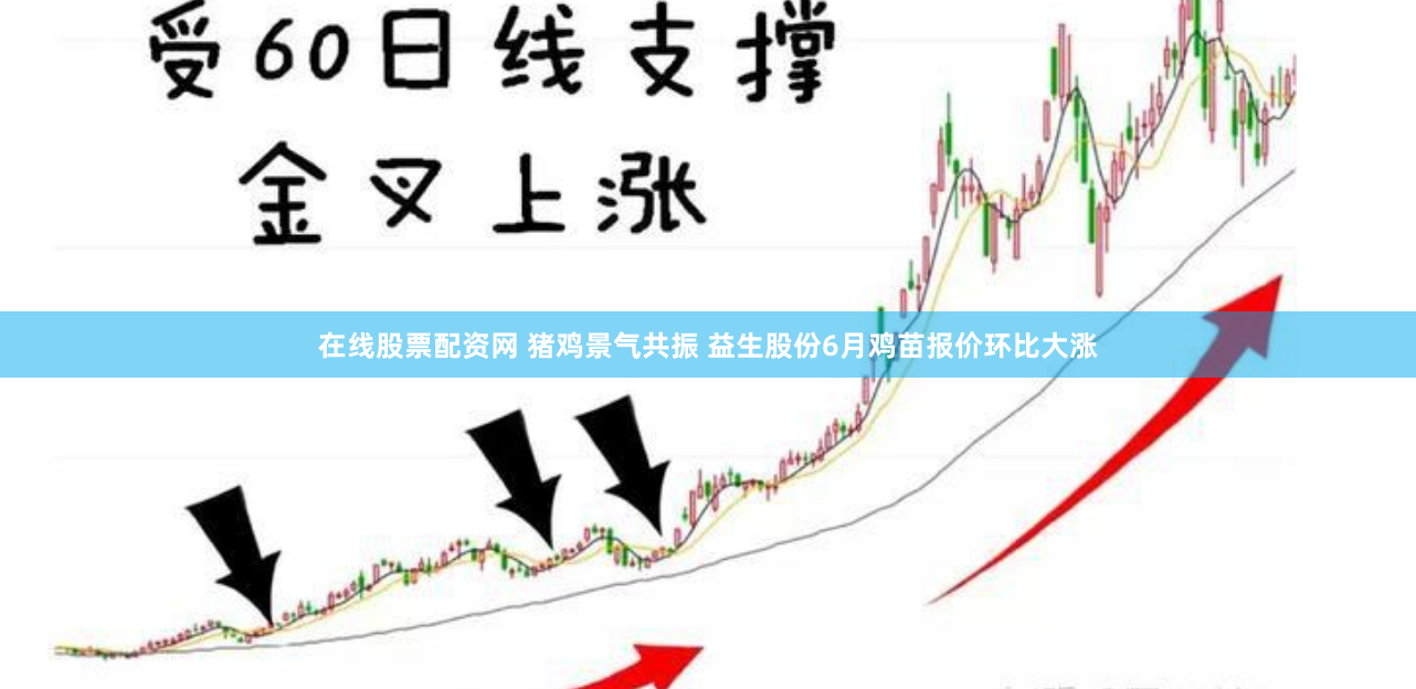 在线股票配资网 猪鸡景气共振 益生股份6月鸡苗报价环比大涨