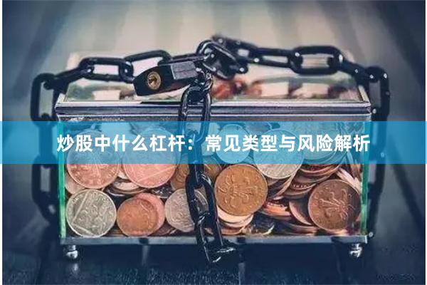 炒股中什么杠杆：常见类型与风险解析