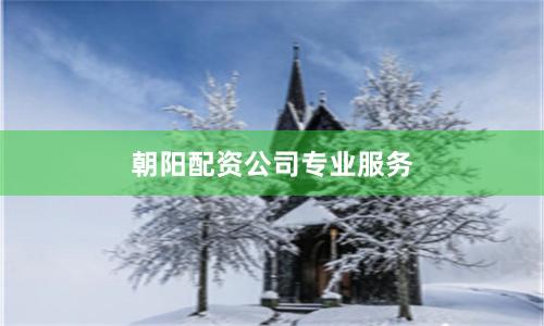 朝阳配资公司专业服务